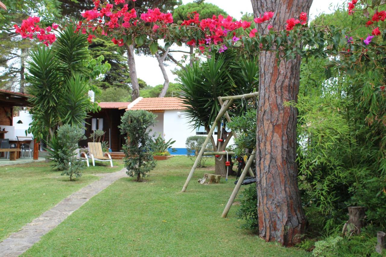 Casinha Do Pinhal Villa Коларес Екстериор снимка